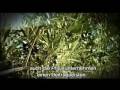 videos de Epson Gardunha Artenvielfalt Initiative