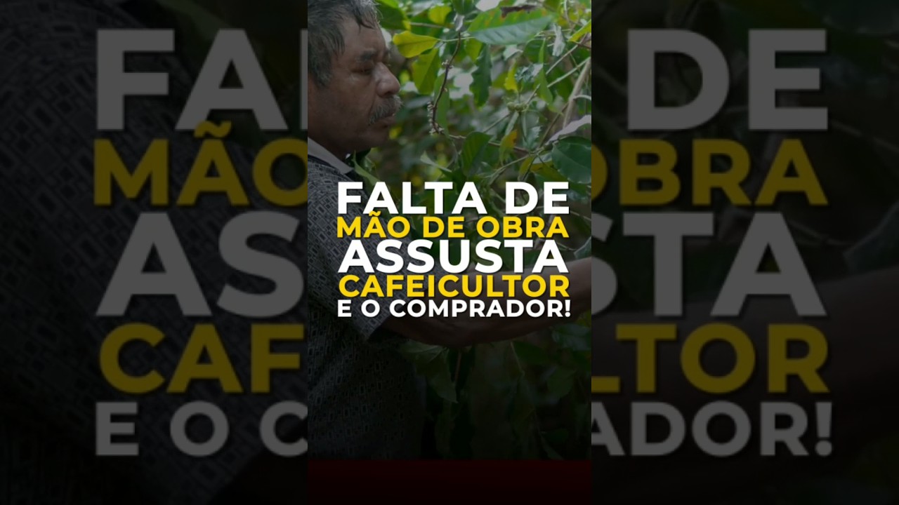 FALTA DE MÃO DE OBRA ASSUSTA CAFEICULTOR E O COMPRADOR!