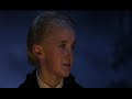 Harry Potter....Draco and Ginny Harry Potter....Draco and Ginny