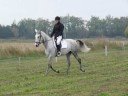 Oeta et Romain Dressage Br�goux