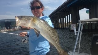 DockSide TV        