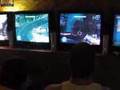 Halo 3 Tournament Championship Match 10.28.07, Elkins WV