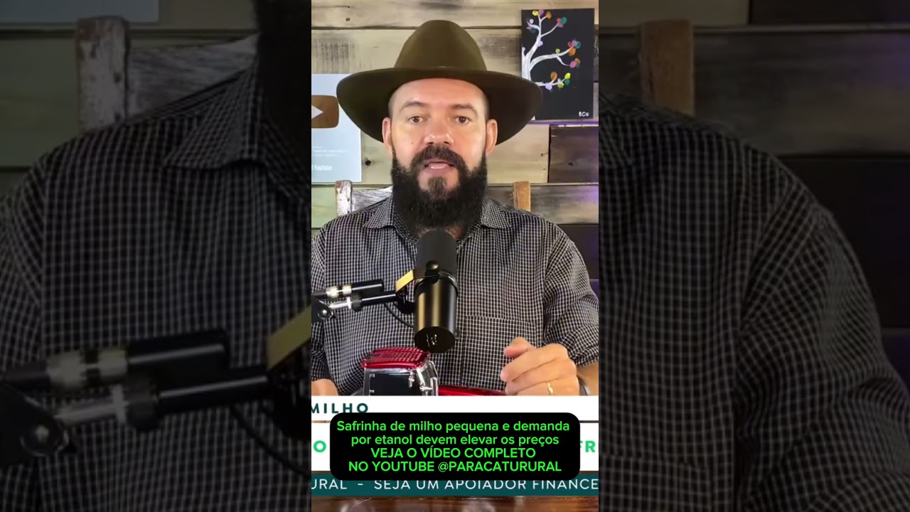 Safrinha de milho pequena e demanda por etanol devem elevar os preços