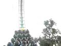 Acki and Razor on kumba at busch gardens florida