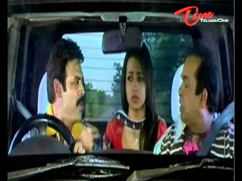 Namo Venkatesa-Venkatesh, Trisha, Brahmanandam, Jayaprakash Reddy, Subbaraju, Praveen, Dilraju, AddalaSrikanth, kotasrinivasaRao, surendraReddy, Nagendrababu, Raghubabusivajiraja, sivaji, srkanth, viswanath, sneha, Raasi