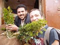 جلسه الفنان القدير محمد عبده اغنية ايوه مع احلام  yemen