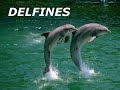 EXCURSIÓN A PUNTA DE TENO IES TOMÁS DE IRIARTE