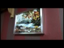 Red Blue Road Trip - Van Buren, Missouri - Oct 31 -  Part 12