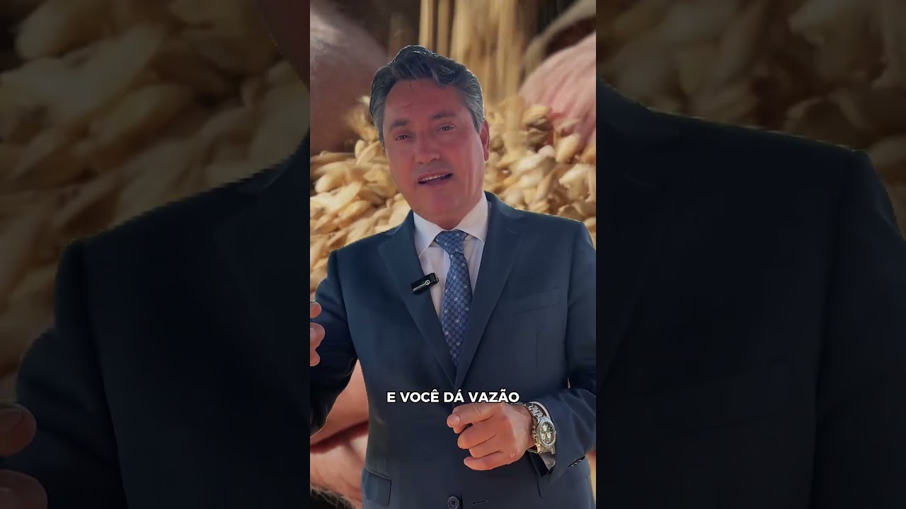 A solução energética do Brasil está no agro!