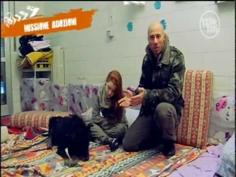 Vedi il video