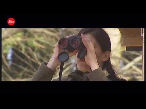 Grundlagen der Fernoptik (deutsch)