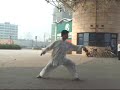 chen taiji quan wuyingfeng