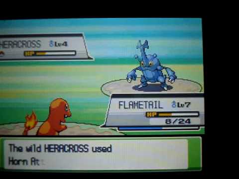 Heracross