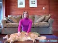 Dog Yoga Poses & Positions : Centering the Breathing in Yoga Poses for Humans & Dogs