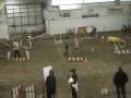 videos de AAC November 2008