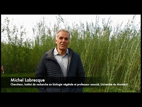 Image de prévisualisation YouTube