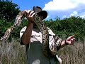 Chief Rowley vs Burmese Python in Fl. Everglades