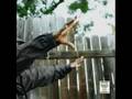 Madvillain - Madvillainy 2: Pearls (Curls Remix)
