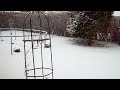 en vinter dag i midtjylland 22.december 2009 [HD]
