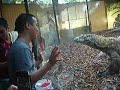 narady vs. komodo