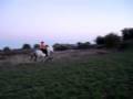 videos de Tribute to my horse Arteon