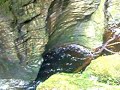 Devils bridge vid Devils bridge vid