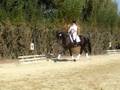 Saumur 2008 JC