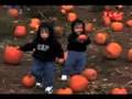Jon and Kate Plus 8 - Pumpkin Patch