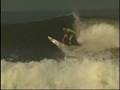 videos de fgsd