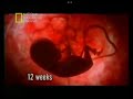 Vídeo da National Geographic Channel