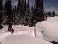 rmk 800 pro jumping an outhouse. jumping off an outhouse up wolf creek pass spring 2011