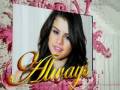 My Montage 10/11/08