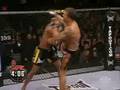 UFC mixed matial arts