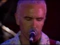 Crowded House Fall At Your Feet Live