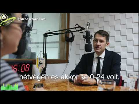 Panda Rádió - Interjú dr. Pásztor Bálinttal, a VMSZ megbízott elnökével-cover