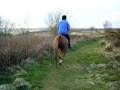 videos de Sth70186.mp4