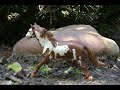 schleich Wildhorses schleich Wildhorses
