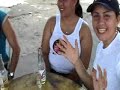 lazo de la vega softbol