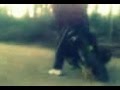videos de mora rally