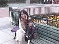 Disneyland,Hong Kong ??????????