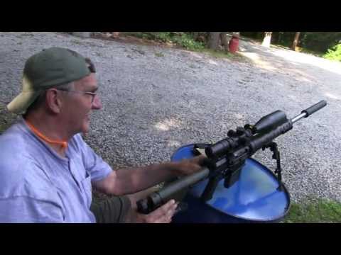 AR 10 Suppressed