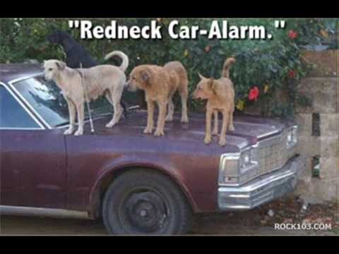 Redneck Pride