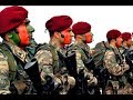 bordo bereliler