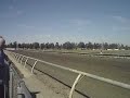 cal expo horse racing