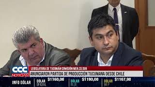 LEGISLATURA DE TUCUMÁN COMISIÓN MER.CO.SUR