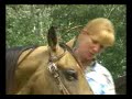 LJ - Perf.Horses - Struttura e Stalloni (FE) LJ - Perf.Horses - Struttura e Stalloni (FE)