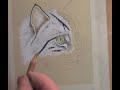 A Grey Cats Eye