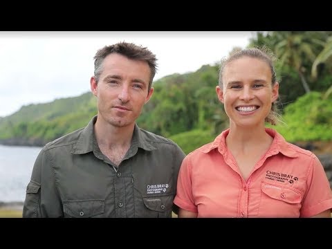 Swell Lodge Video
