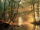 Relajante X, Árboles y Bosques. Relajante X, Árboles y Bosques.