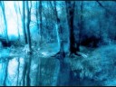 Relajante X, Árboles y Bosques.
